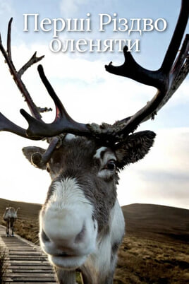 Gledajte A Baby Reindeers First Christmas onlajn