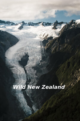 Watch Wild New Zealand online