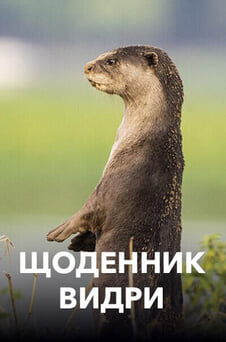 Дивитися Щоденник видри онлайн