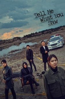 Regardez Tell Me What You Saw en ligne