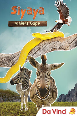 Vaadake Siyaya  Wildest Cape veebis