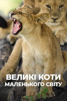 Дивитися Великі коти маленького світу онлайн