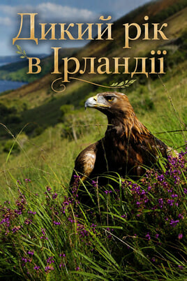 Skatieties A Wild Irish Year tiešsaistē