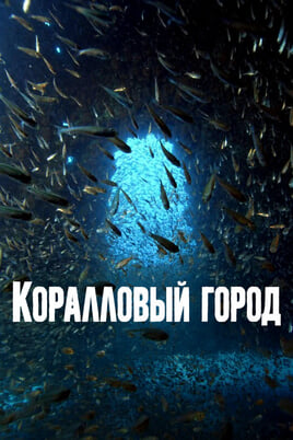 Коралловый город