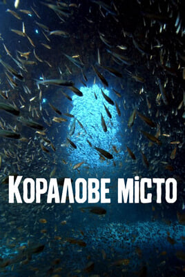 Коралове місто