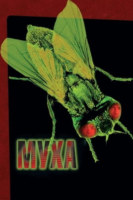 The Fly