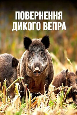 Дивитися Повернення дикого вепра онлайн