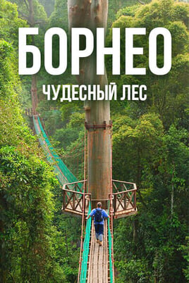 Борнео чудесный лес онлайн қарау