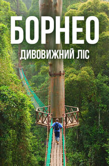 Дивитися Борнео дивовижний ліс онлайн