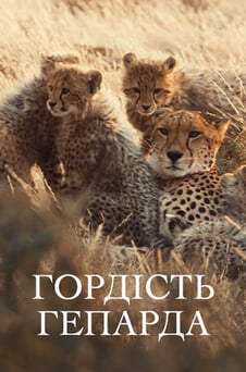 Дивитися Гордість гепарда онлайн