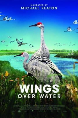Wings Over Water