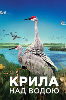 Дивитися Крила над водою онлайн