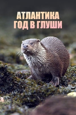 Атлантика Год в глуши - SWEET.TV Атлантика Год в глуши онлайн қарау