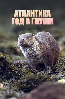 Смотреть Атлантика Год в глуши онлайн