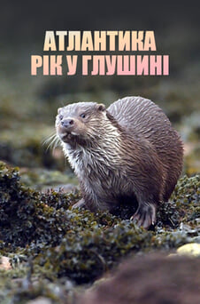 Дивитися Атлантика Рік у глушині онлайн