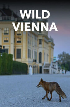 Ara Wild Vienna online