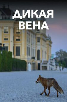 Смотреть Дикая Вена онлайн