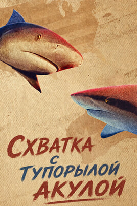 Схватка с тупорылой акулой