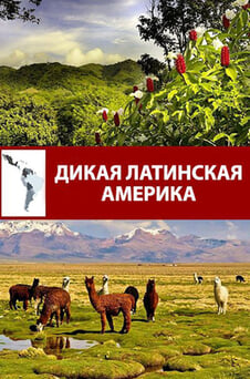 Смотреть Дикая Латинская Америка онлайн