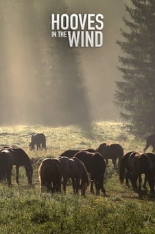 Regardez Hooves in the Wind en ligne