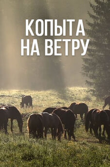 Смотреть Копыта на ветру онлайн