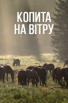 Дивитися Копита на вітру онлайн