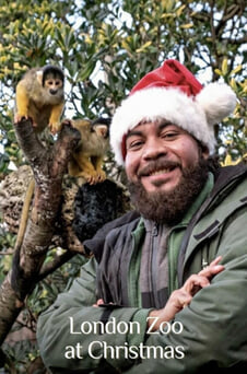 Titta London Zoo at Christmas online