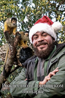 Смотреть Рождество в Лондонском зоопарке онлайн