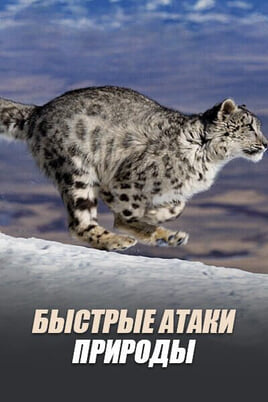 Быстрые атаки природы