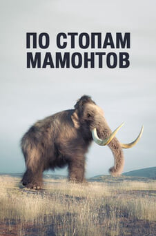 Смотреть По стопам мамонтов онлайн