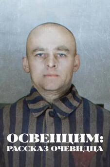 Смотреть Освенцим рассказ очевидца онлайн