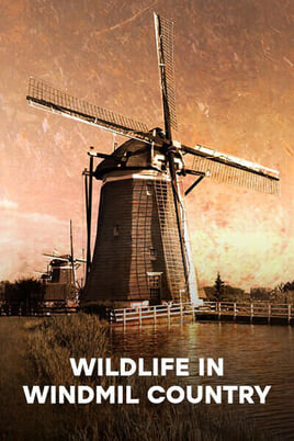 Watch Wildlife in Windmill Country online