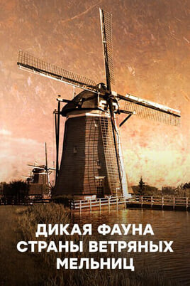 Смотреть Дикая фауна страны ветряных мельниц онлайн