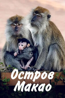Смотреть Остров Макао онлайн