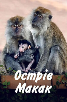 Дивитися Острів макак онлайн