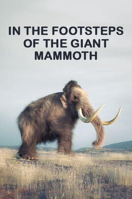Watch In the Footsteps of the Giant Mammoth online