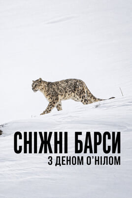 Сніжні барси з Деном О’Нілом