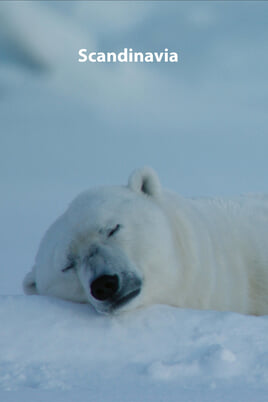 Scandinavia