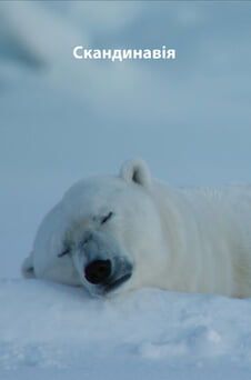 Дивитися Скандинавія онлайн