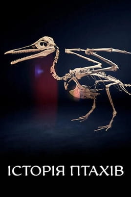 Vaadake The Rise of the Birds veebis