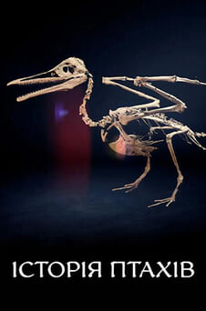 Дивитися Історія птахів онлайн
