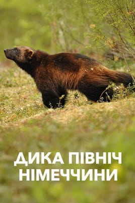 Germanys Wild North - SWEET.TV Παρακολούθησε Germanys Wild North online