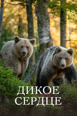 Дикое сердце - SWEET.TV Смотреть Дикое сердце онлайн