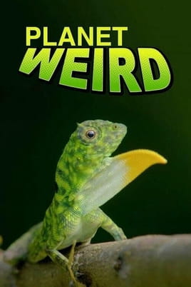 Regardez Planet Weird en ligne