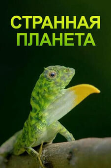 Смотреть Странная планета онлайн