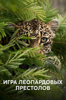 Смотреть Игра леопардовых престолов онлайн