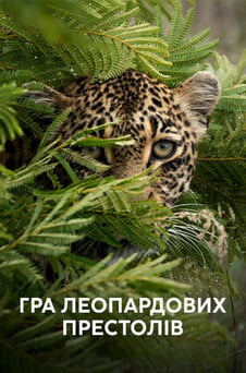 Дивитися Гра леопардових престолів онлайн