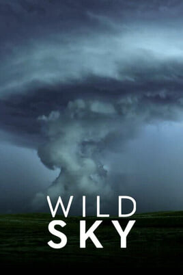Ara Wild Sky online