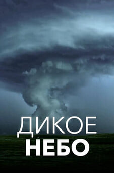 Смотреть Дикое небо онлайн