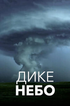 Дивитися Дике небо онлайн